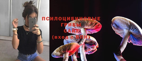 марки lsd Мегион
