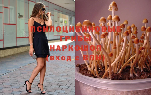 прущая мука Коряжма