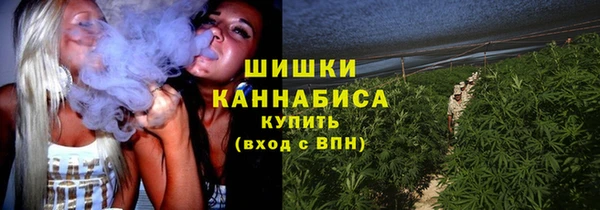 альфа пвп Корсаков